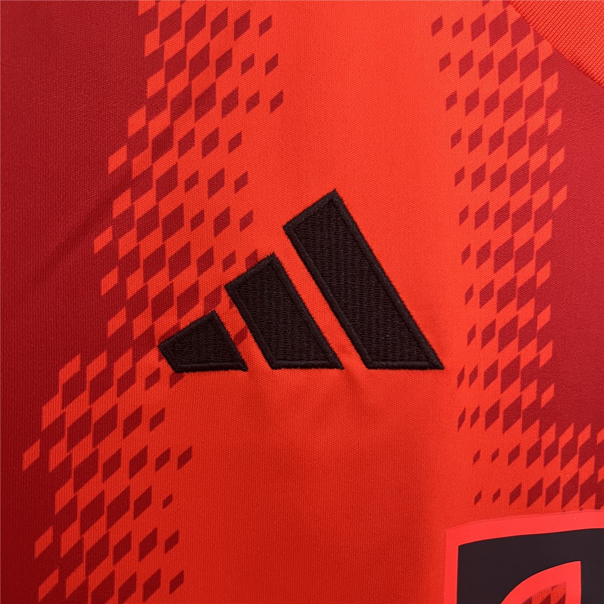 24/25 Bayern München Home Kit