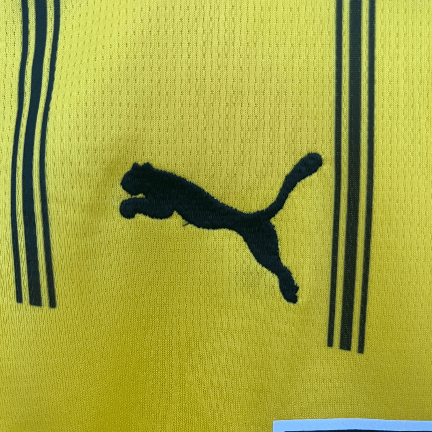 24/25 Borussia Dortmund Home Kids Kit