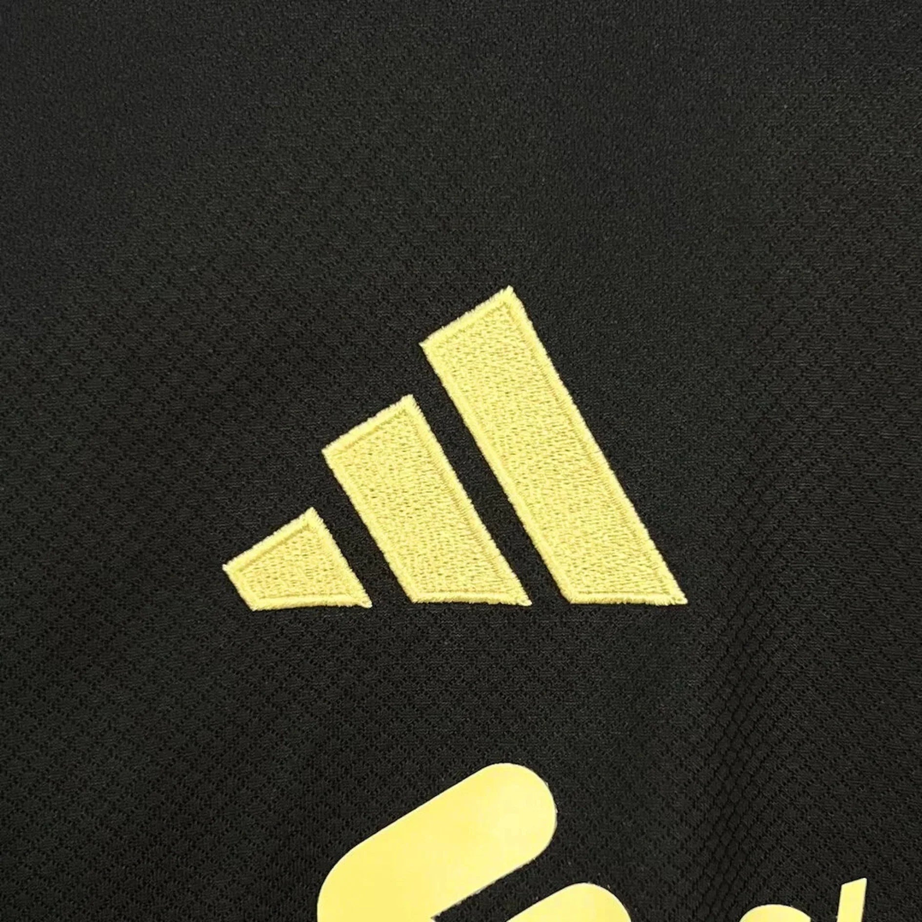 Liverpool 25/26 Black Gold Shirt - Special Edition