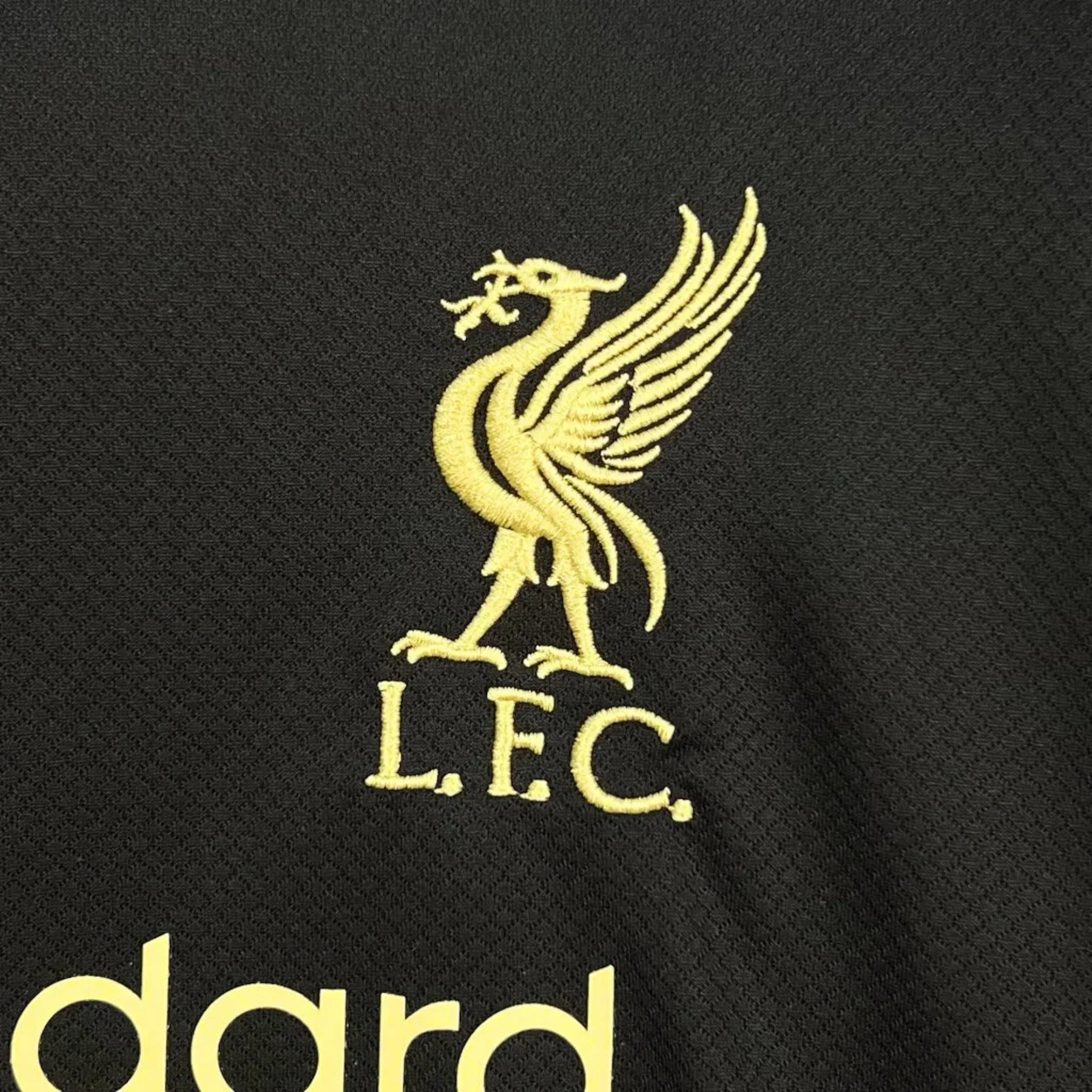 Liverpool 25/26 Black Gold Shirt - Special Edition