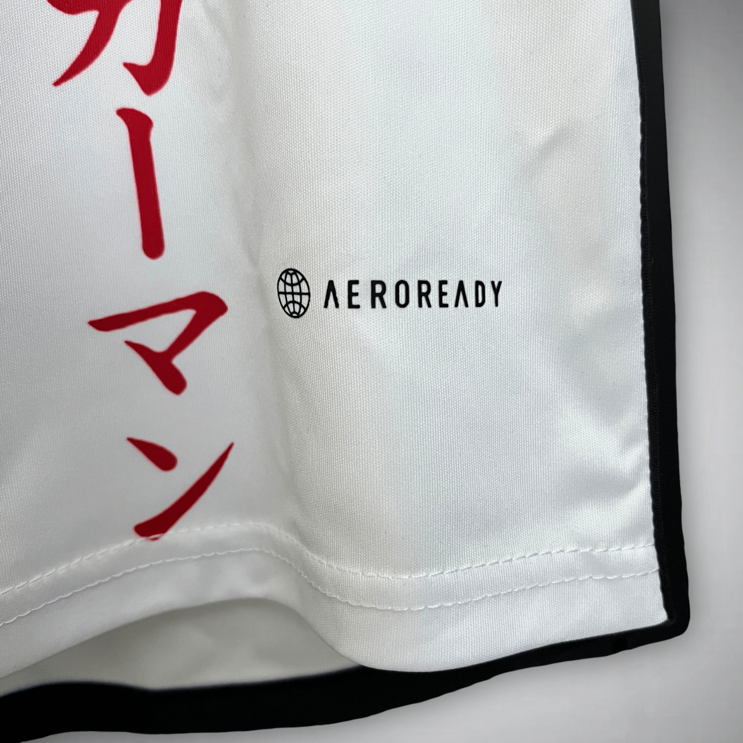 Japan Levi Ackerman Kit