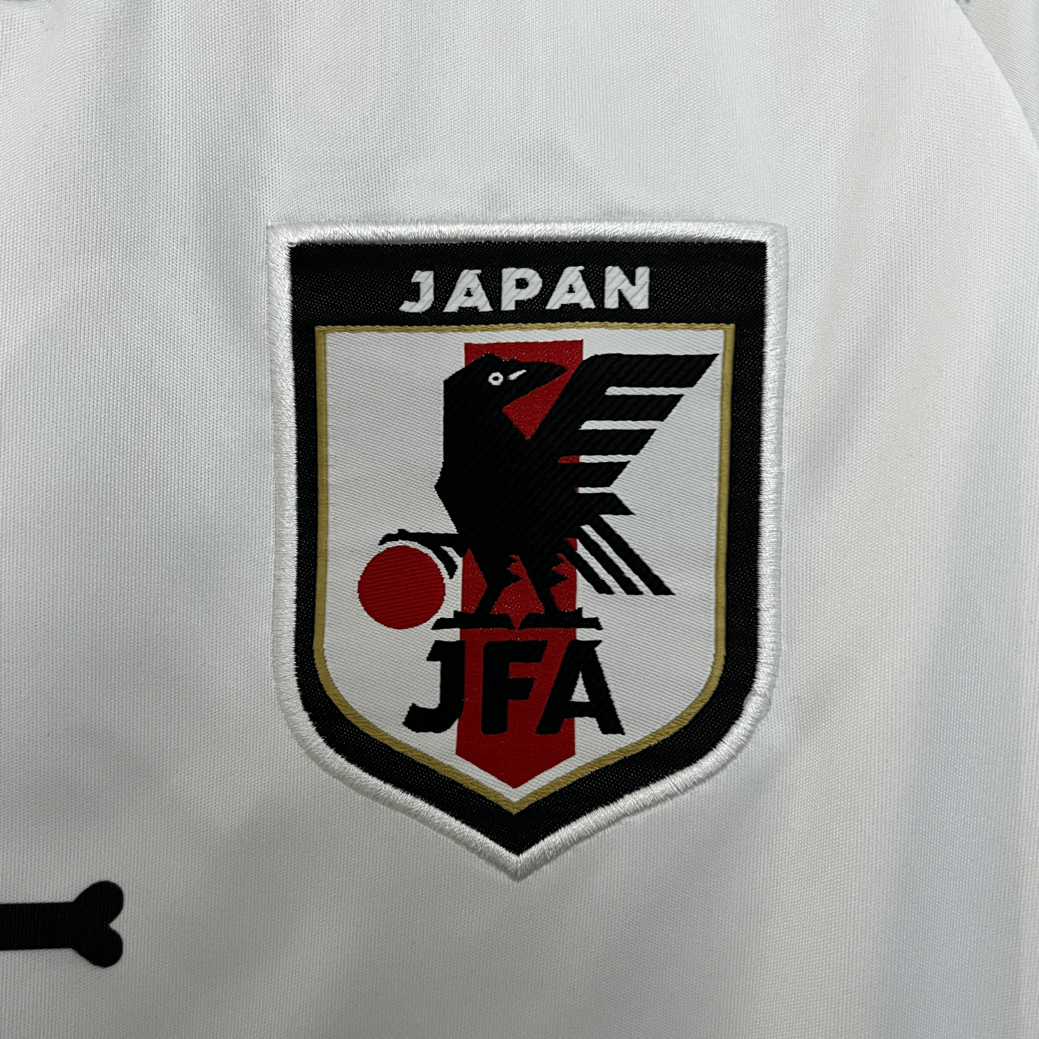 Japan Portgas D. Ace Kit