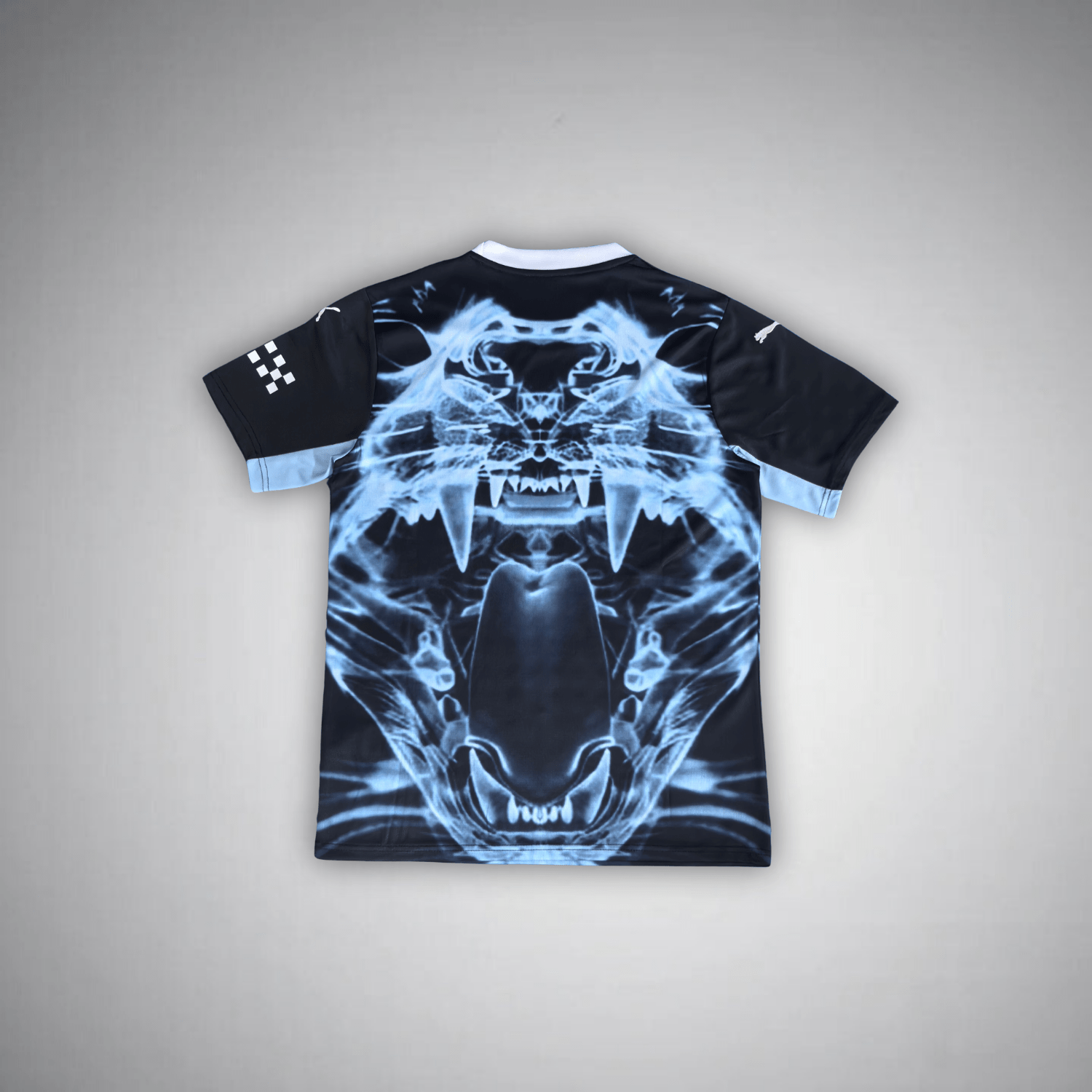 Manchester City Predator X Kit