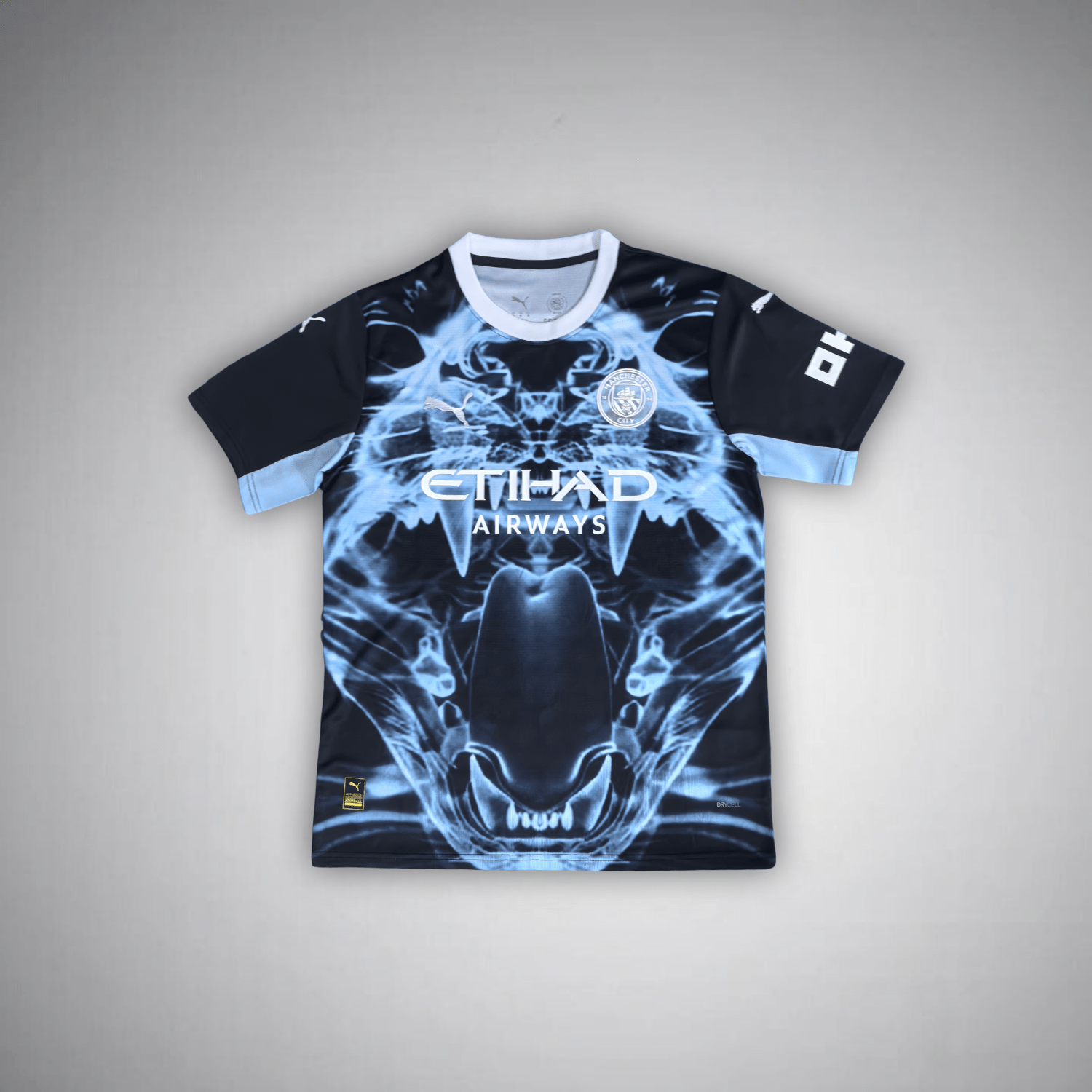 Manchester City Predator X Kit