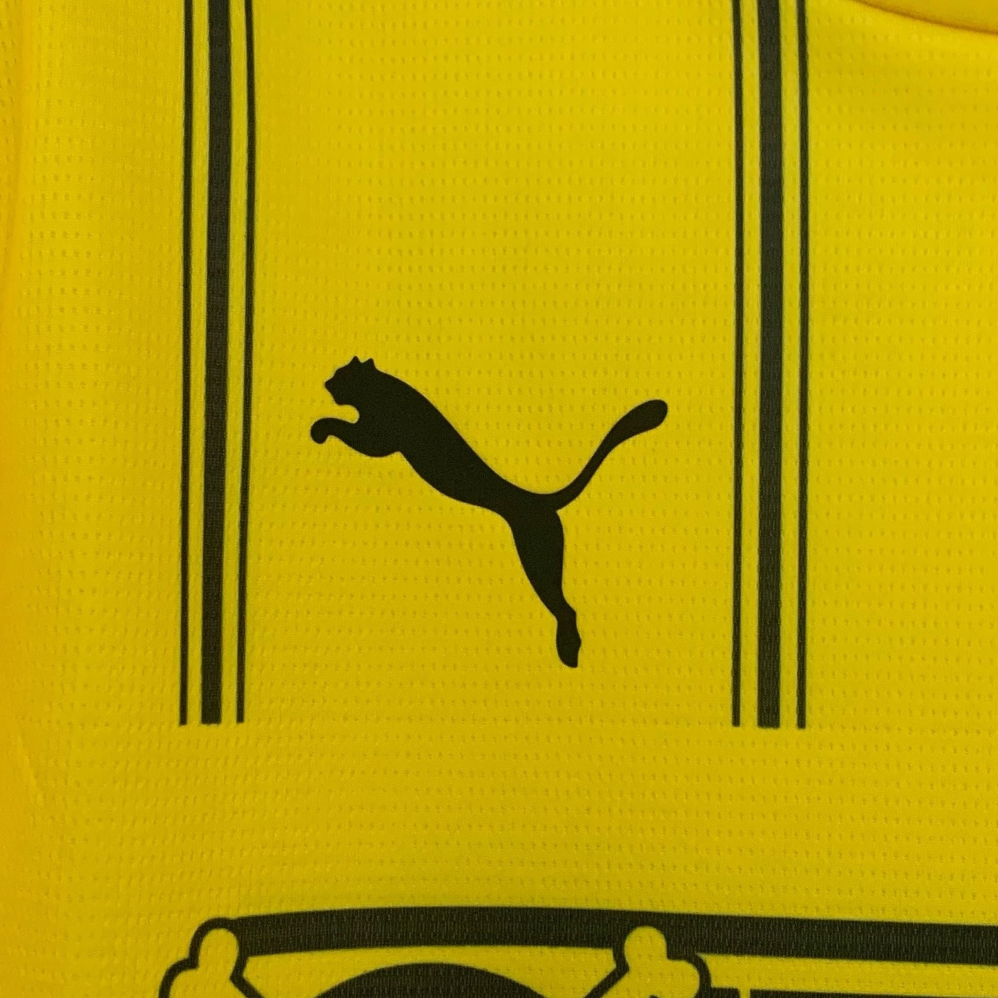 Borussia Dortmund x One Piece Kit