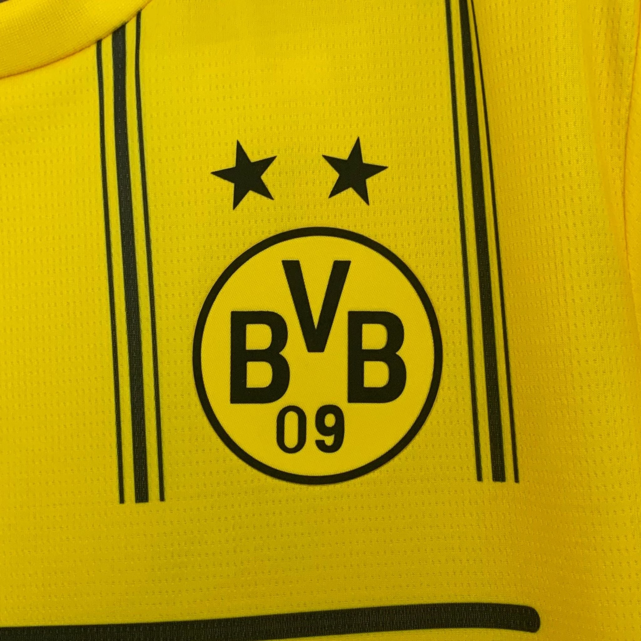 Borussia Dortmund x One Piece Kit