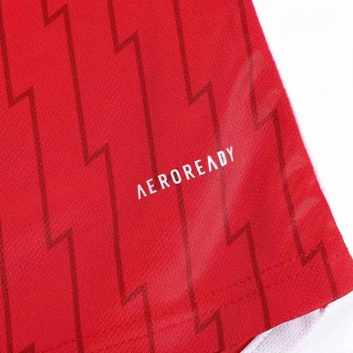 Arsenal 2023/2024 Home Shirt